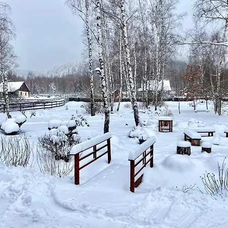 Pod śnieżnikiem